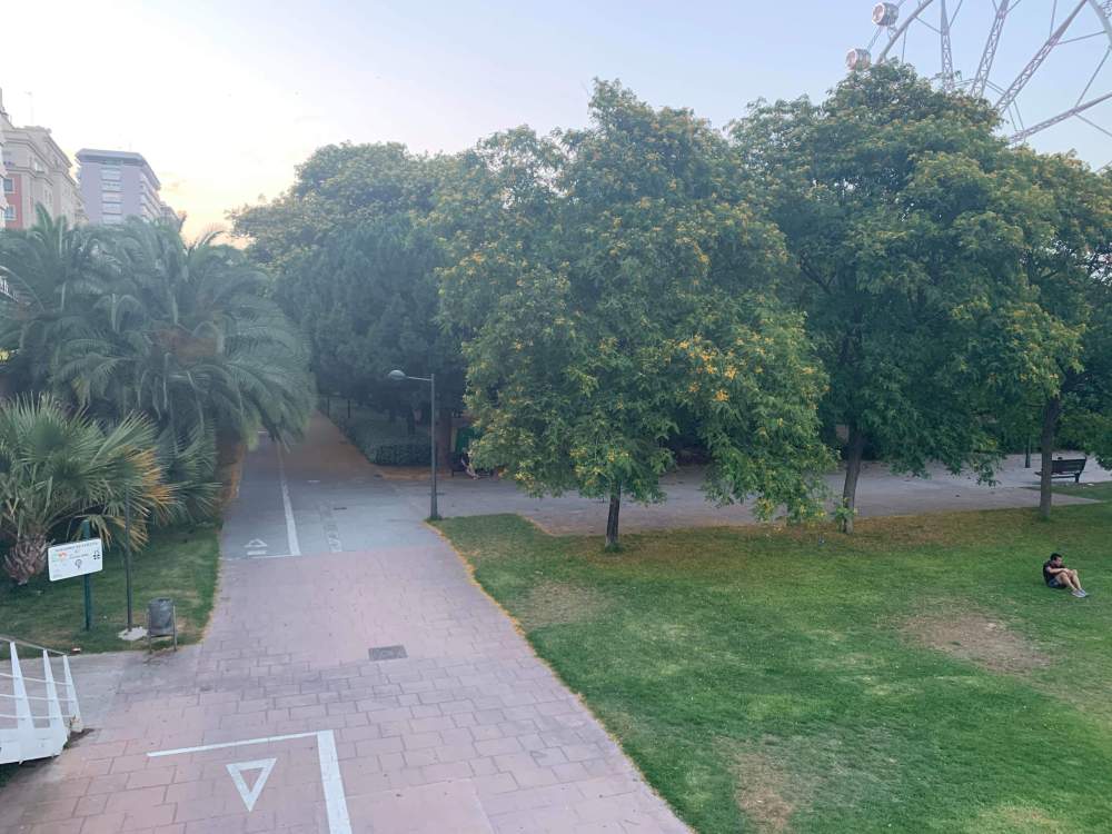 Part of the Turia Gardens