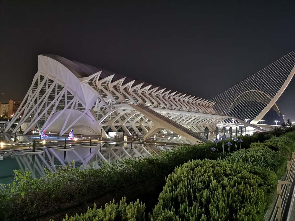 67447719_387116441940441_2052157183872729088_n